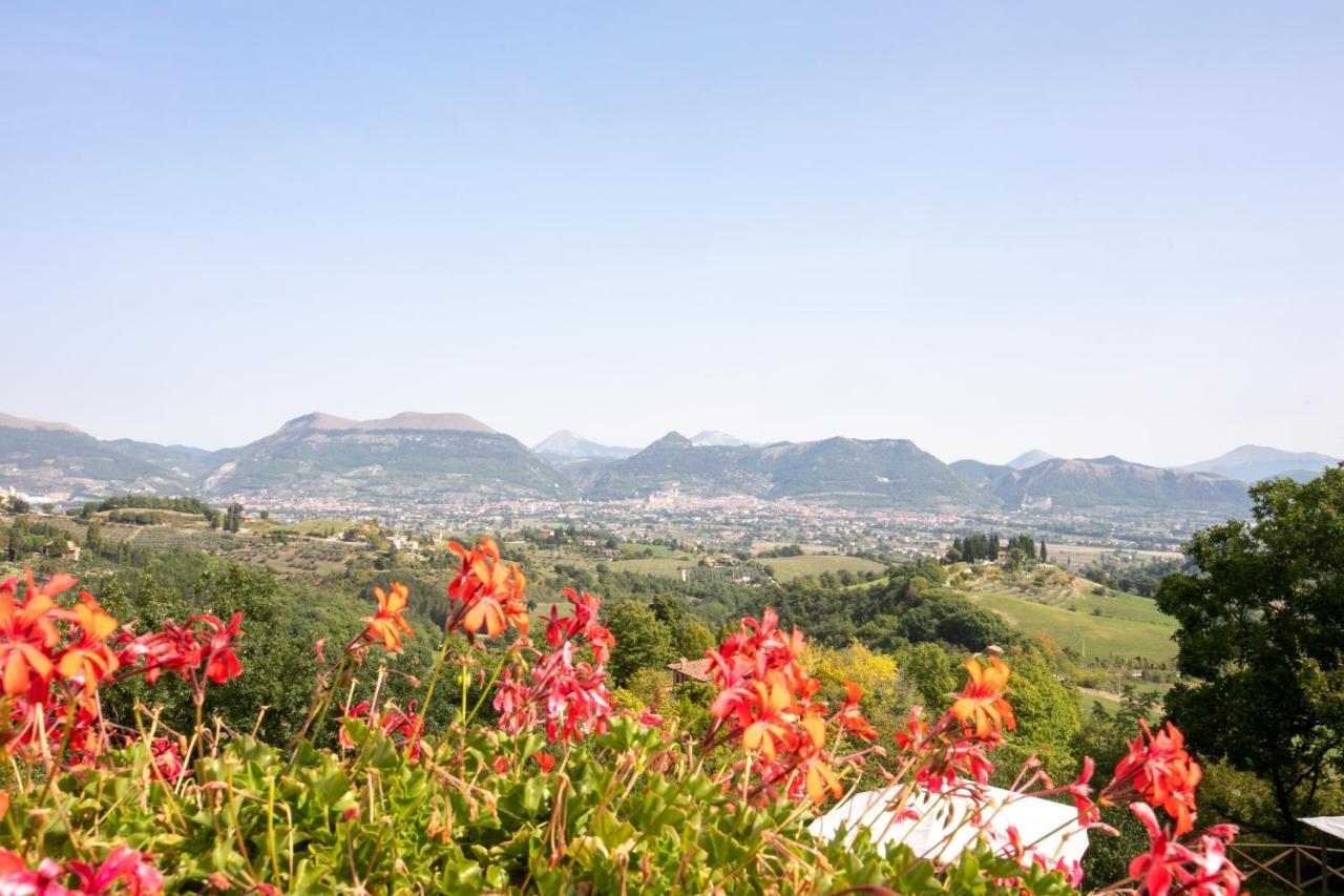 Agriturismo Casalta Βίλα Γκούμπιο Εξωτερικό φωτογραφία